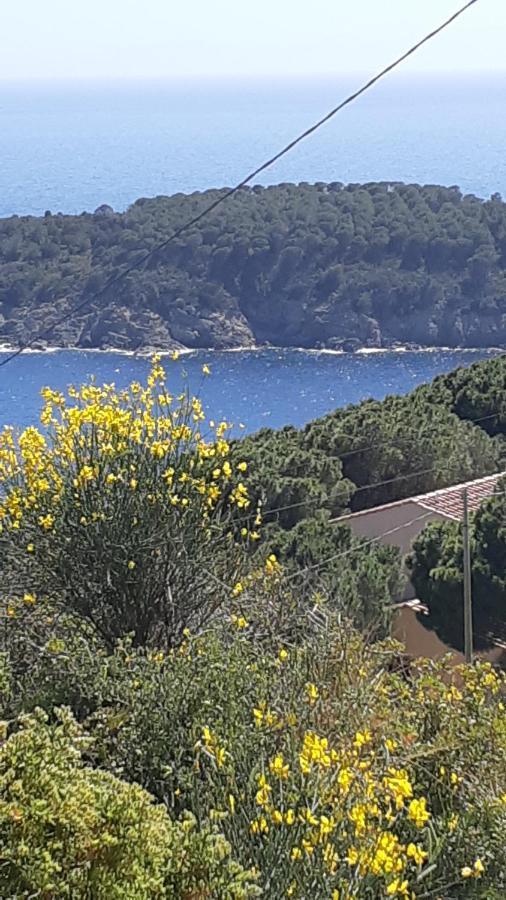 Residence La Calle Isola D'Elba Екстериор снимка