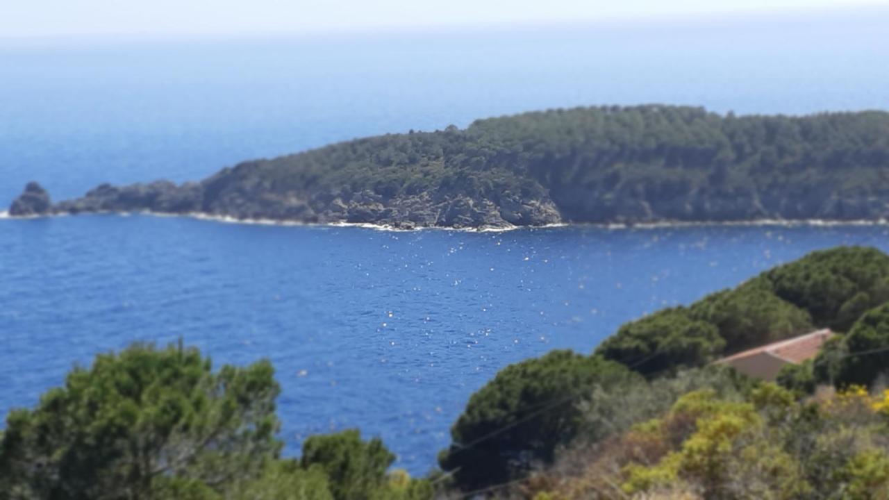Residence La Calle Isola D'Elba Екстериор снимка