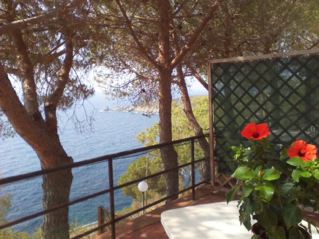 Residence La Calle Isola D'Elba Екстериор снимка